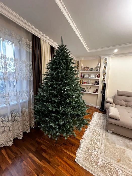 Аляска найпишніша лита ялинка Siga group з блакитними кінчиками, ёлка