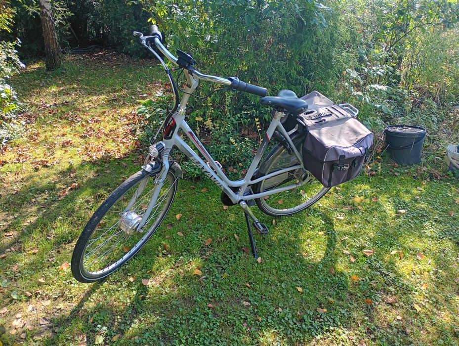 Rower elektryczny Batavus fuego e-go