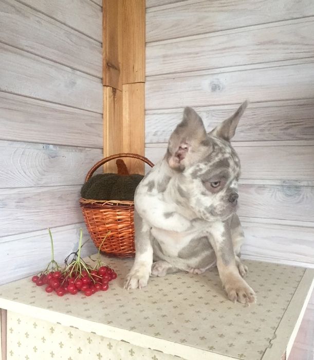 Хлопчик 4місяці зі світлими очима