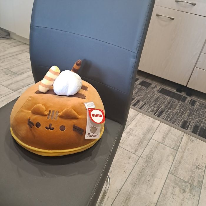 Pusheen ciastko czekoladowe duze! Nowość!!