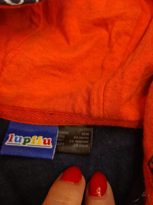 Bluza rozmiar 68 Lupilu