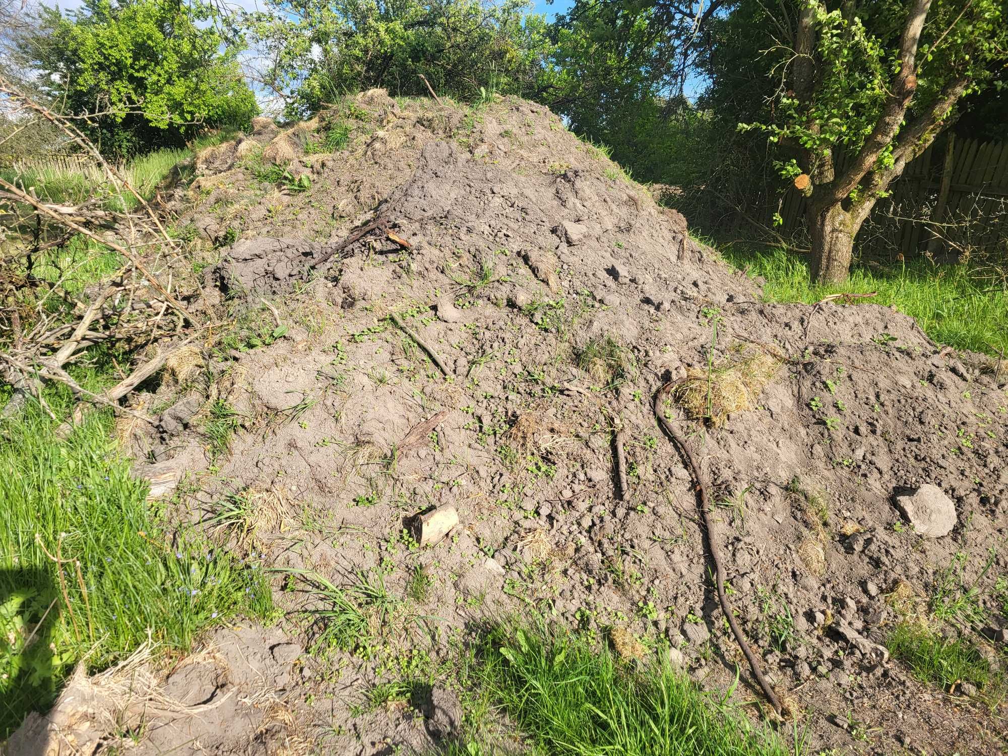 Darń z wykopów zimnych