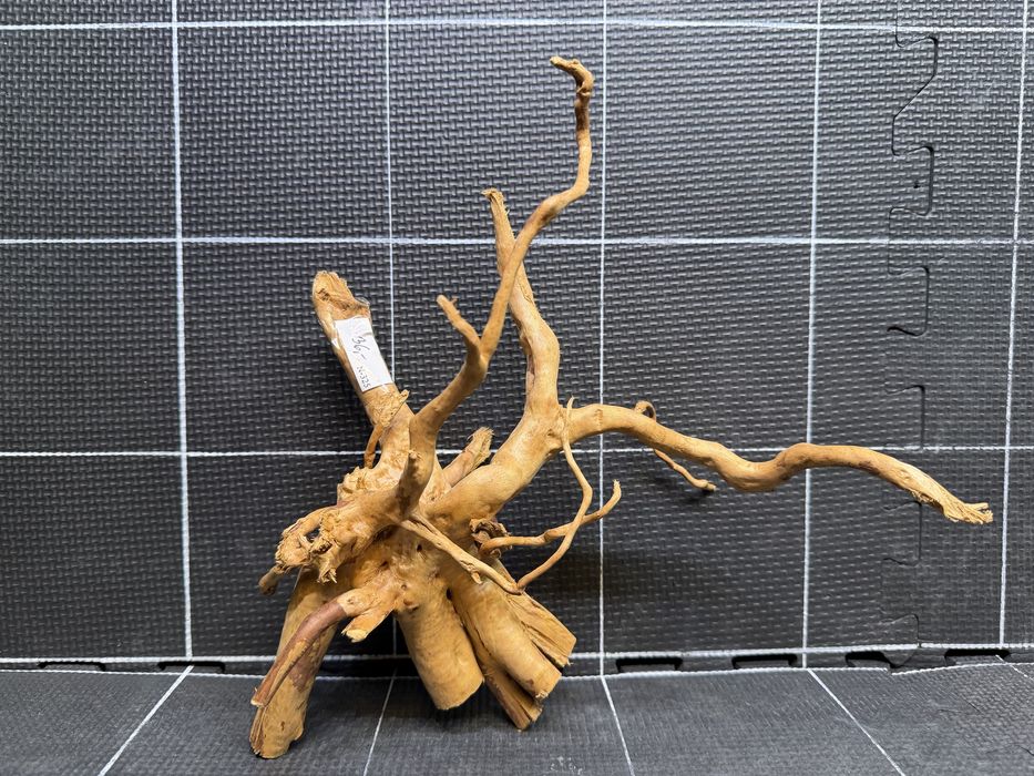 Korzeń red moor wood n-325