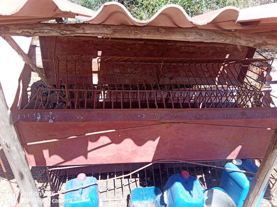 Ripados para ovelhas