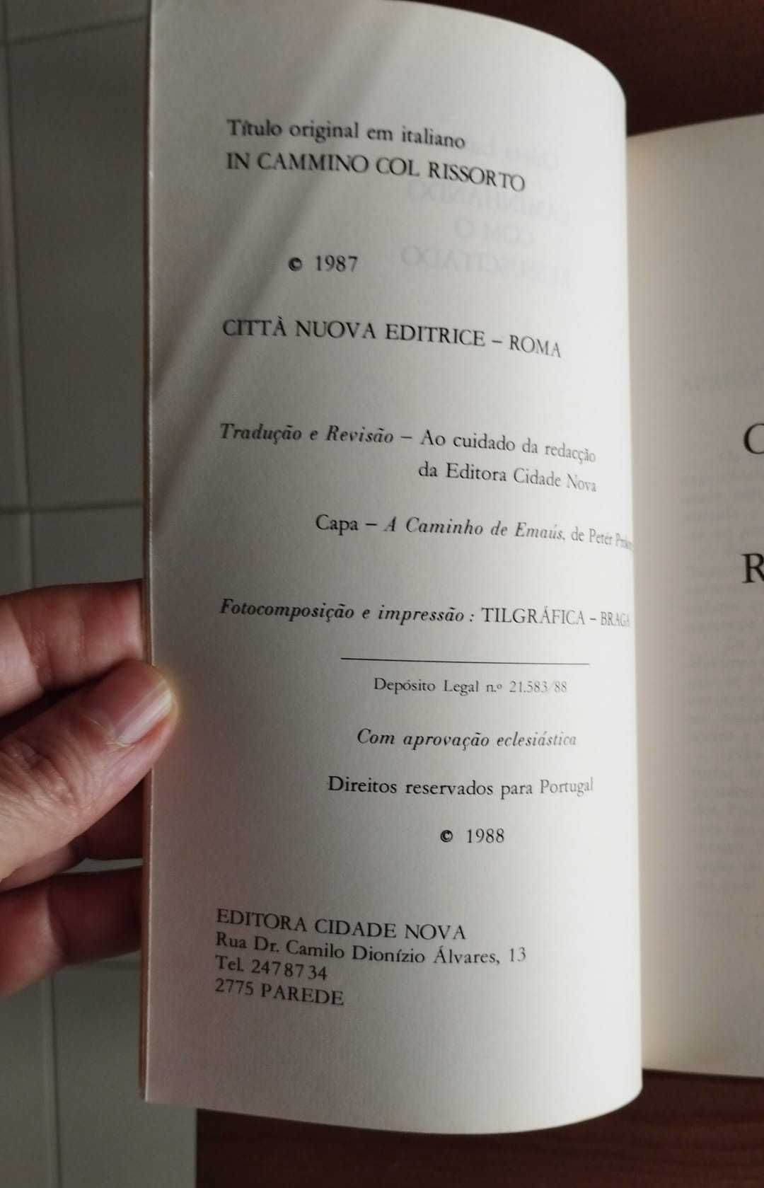 Caminhando com o Ressuscitado - Livro Usado