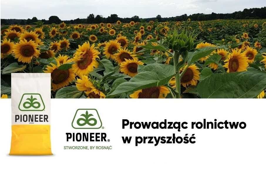 Dystrybutor PIONEER - Słonecznik nasiona słonecznika P64HE118 i inne