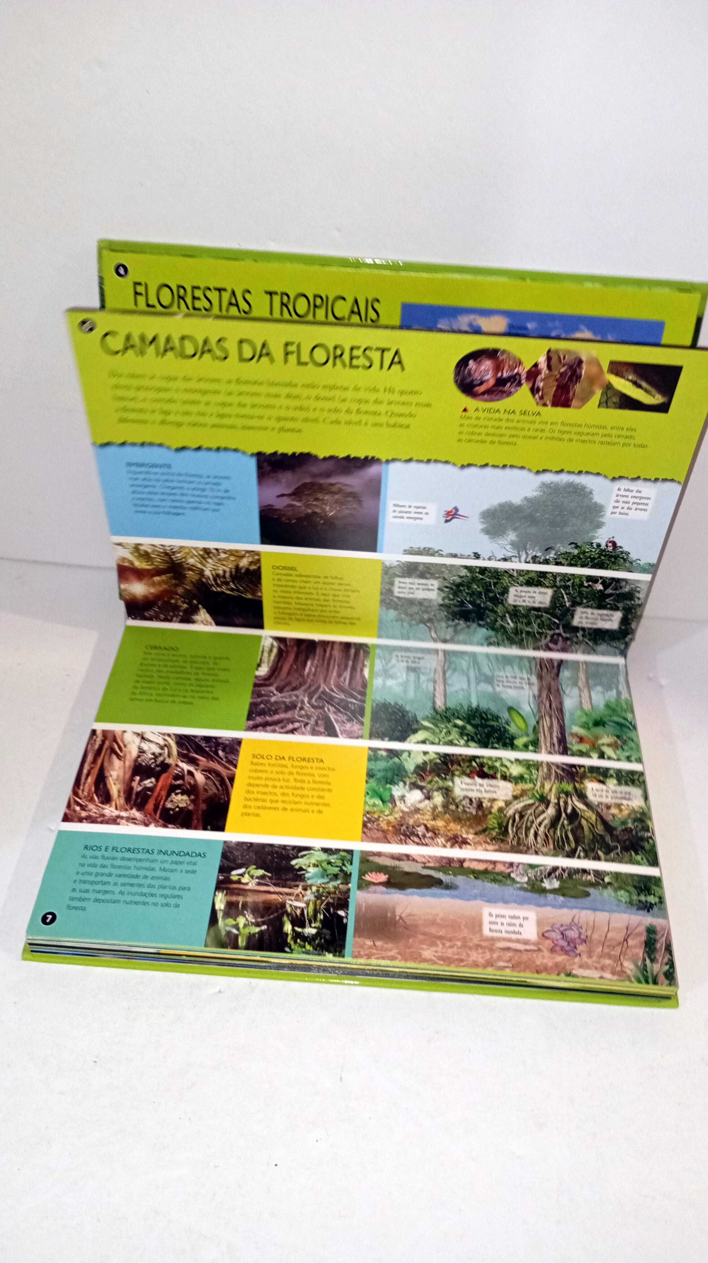 Floresta Tropical - Uma viagem do rio às copas das árvores -3D