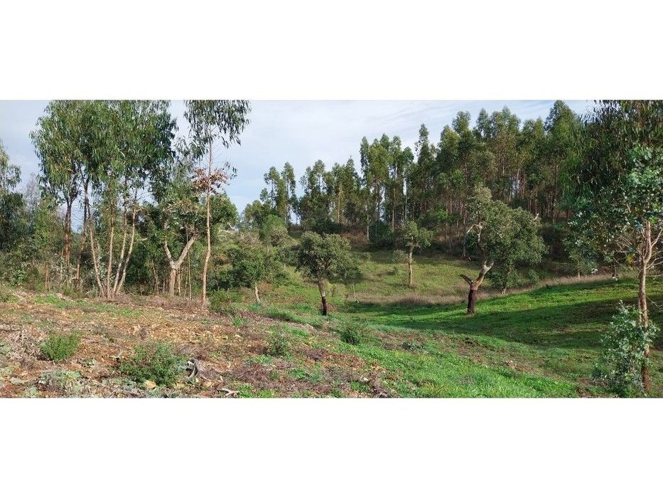 Terreno Rústico (9,3Ha)