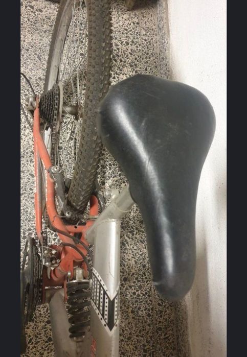 Desportivas com boa situação