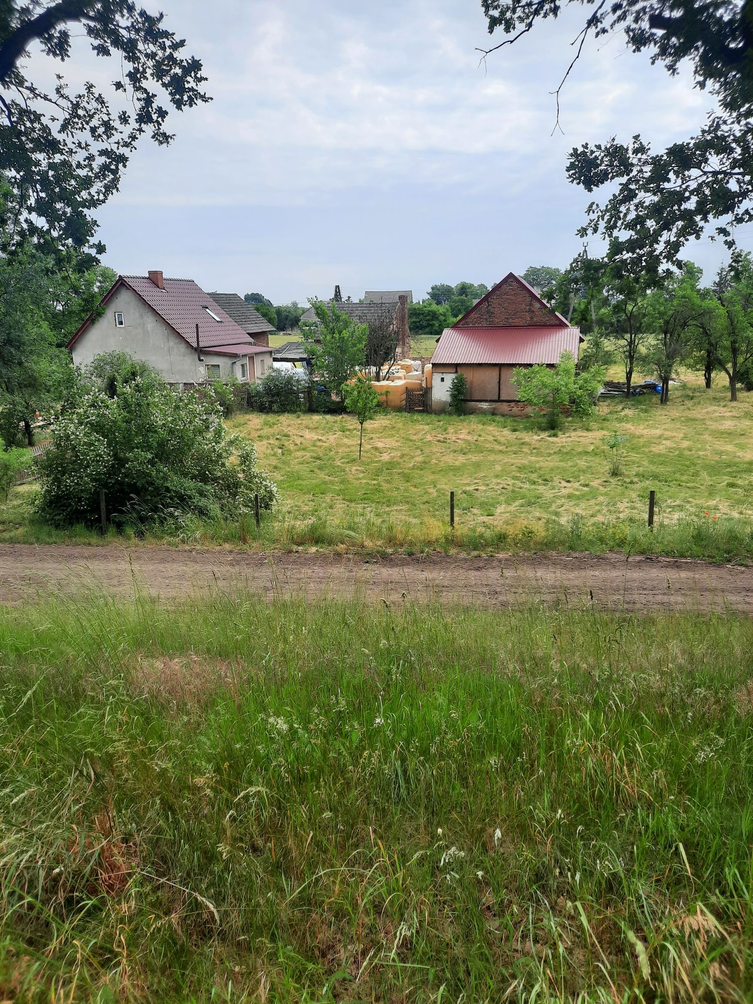 Działka na wsi,66-130 Przewóz,cisza, spokoj, lasy, stawy.