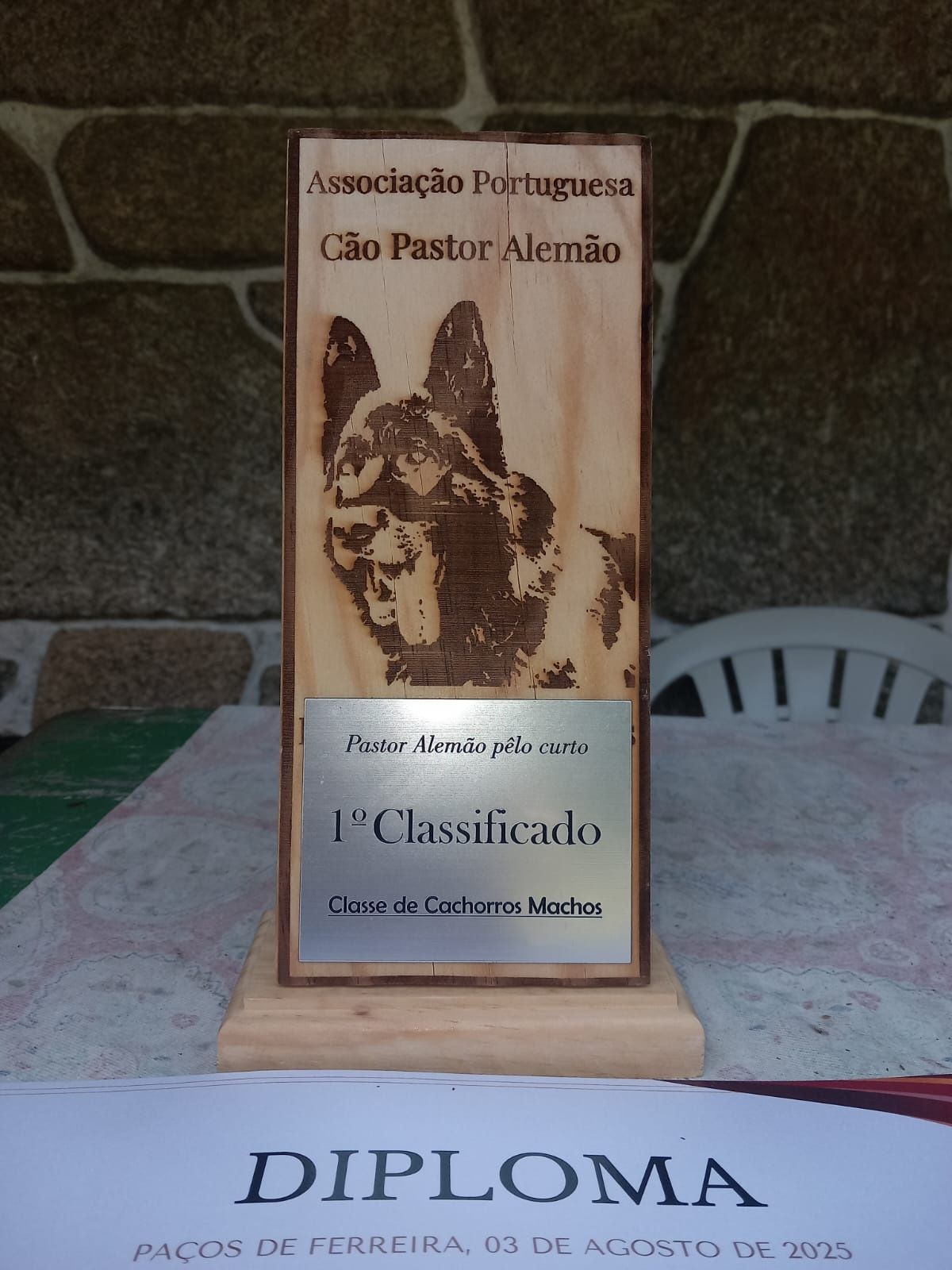 Vendo filhote de Pastor Alemão pelo curto.