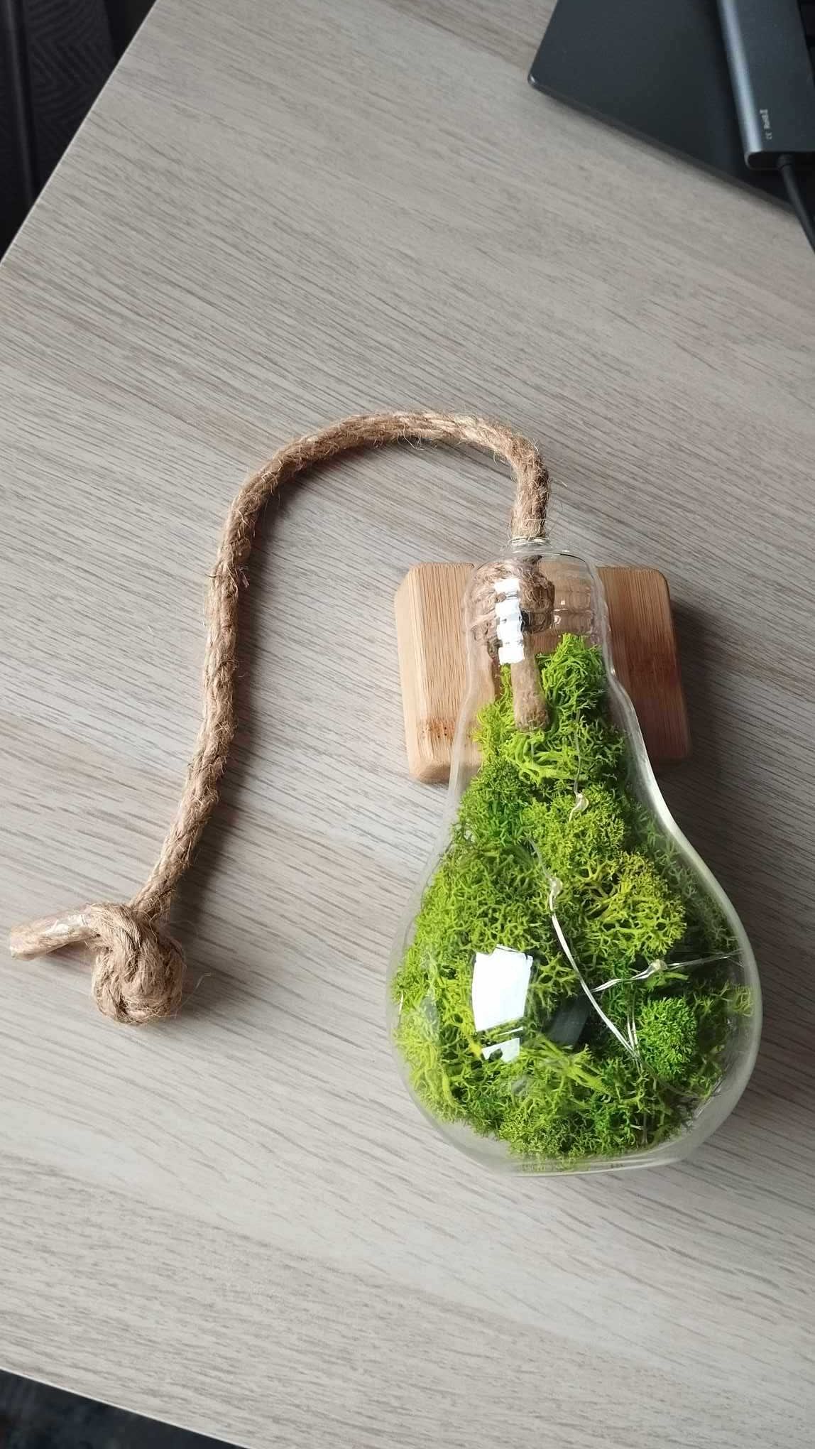 Ozdoba wisząca żarówka mech chrobotek LED