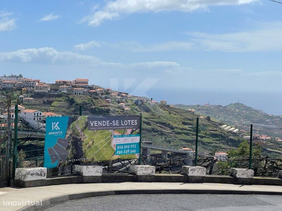Lote Estreito de Câmara de Lobos