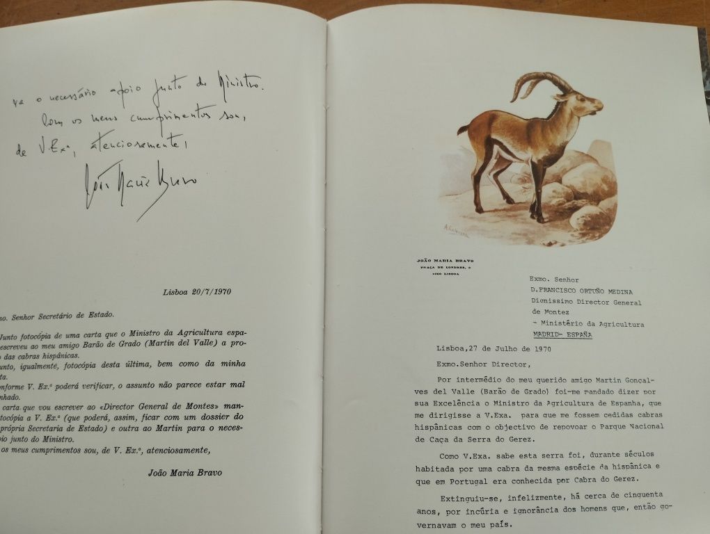 "A proposito da Caça". De: João Maria Bravo . Livro a muito bom preço