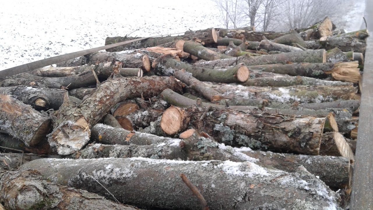 Продам дрова дубовые и кленовые