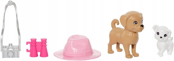 Набір ляльок Mattel Barbie і Stacie