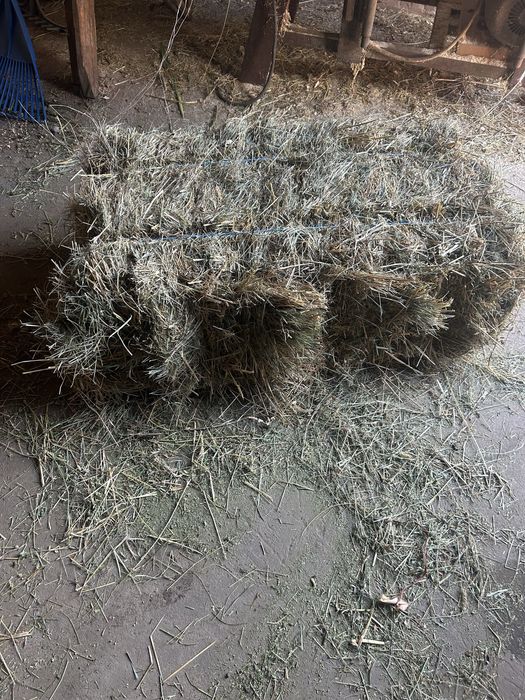 Тюки сіна, 20 кг