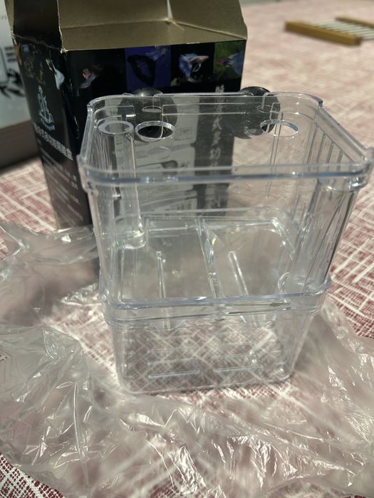 Maternidade peixes pequenos