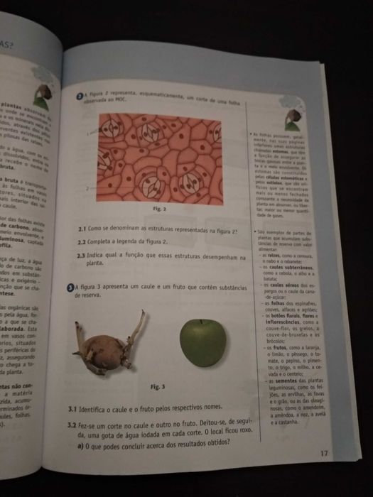 Manual e caderno de atividades Ciências da Natureza 6.º ano