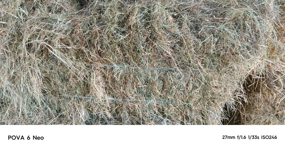 Тукі сіна продам ціна договірна є доставка