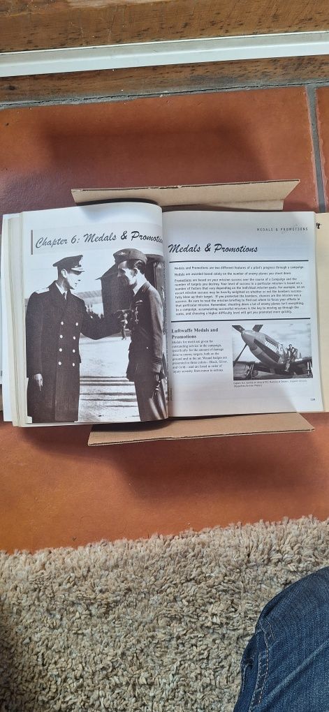 Combat flight simulador wwii europe series