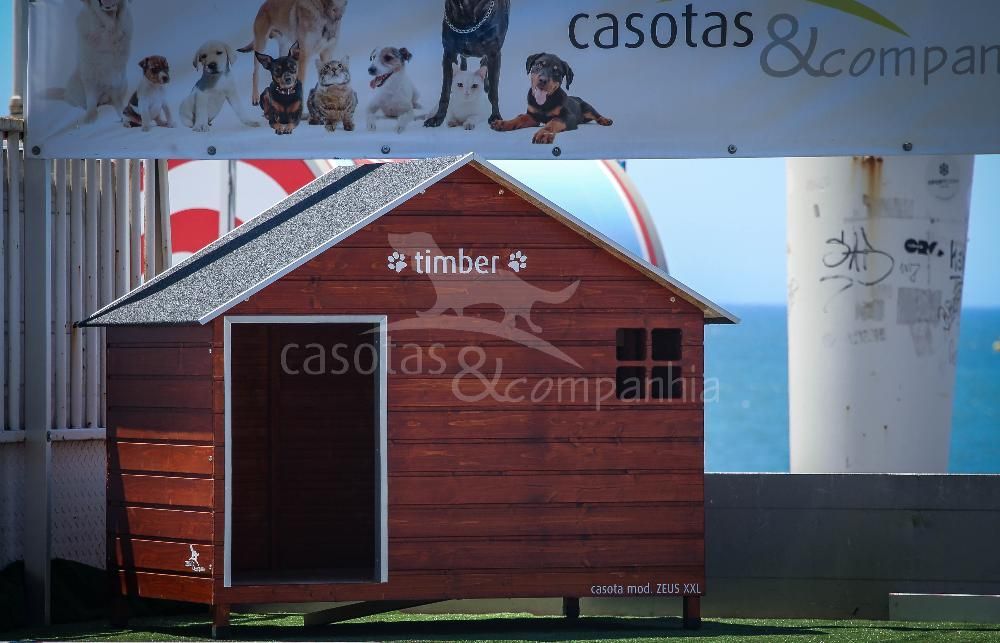 Casotas&Companhia! - Casota em Madeira Mod. Zeus XXL Lite