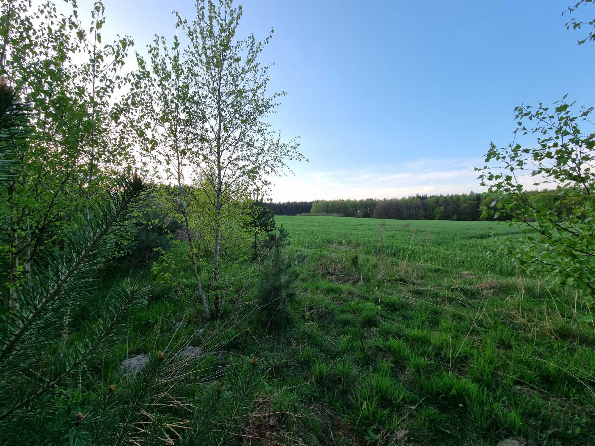 Działka budowlana 1000m2 Rokocin