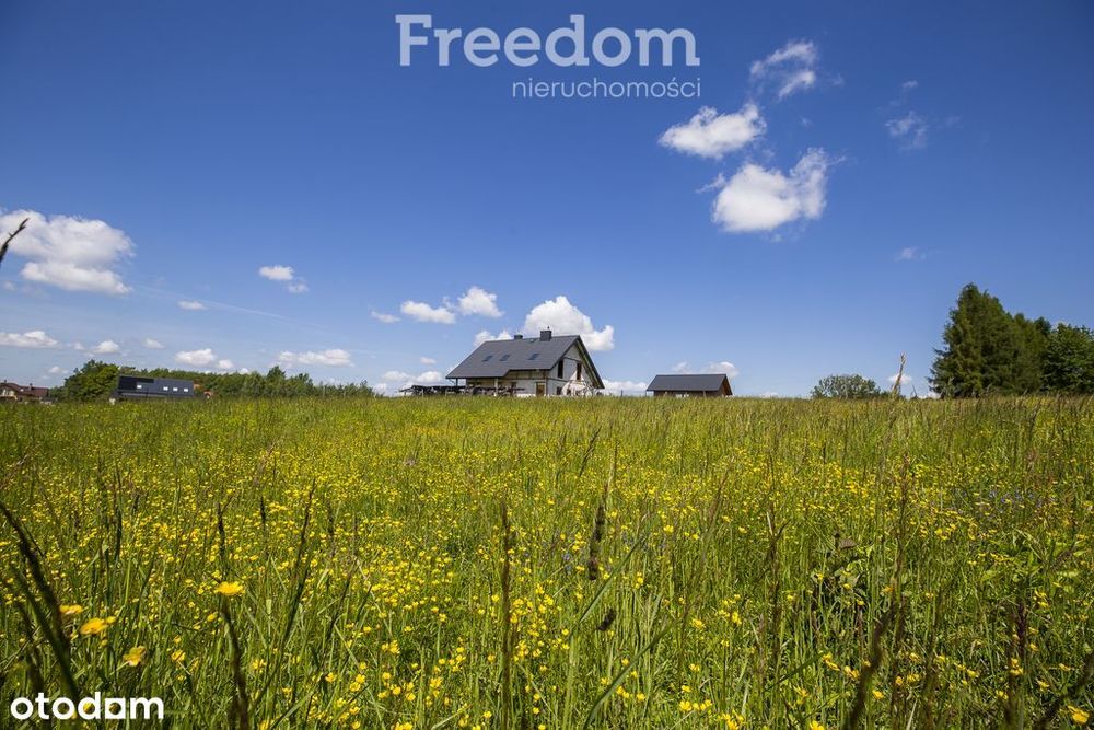 Działka z Wz, media, las 4 km od Rzeszowa