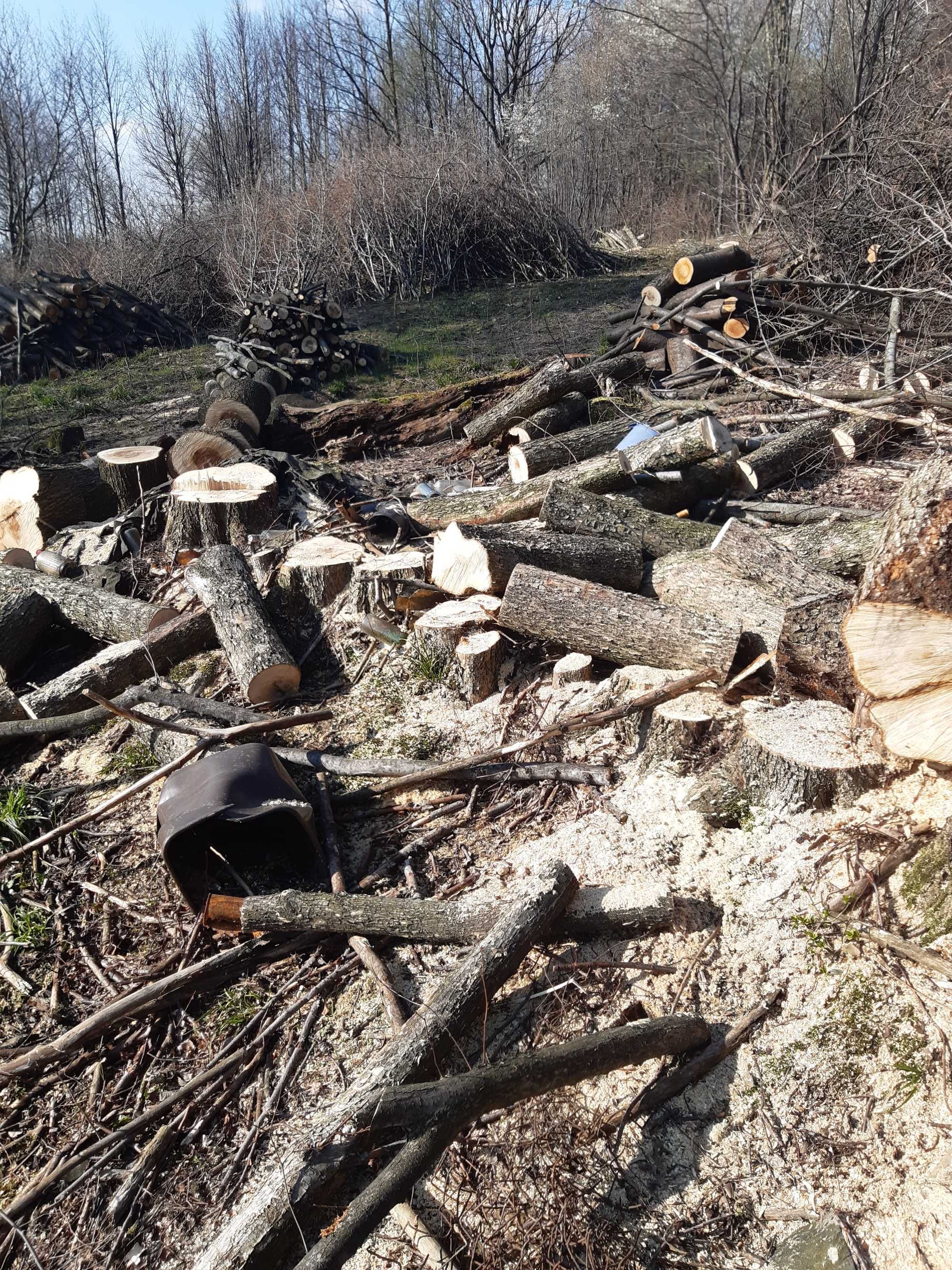 Drewno  do wędzenia lub opału okolice Andrychowa