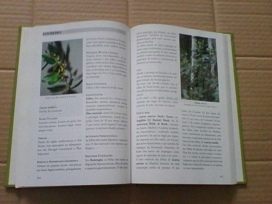 Plantas aromáticas em Portugal : caracterização e utilizações