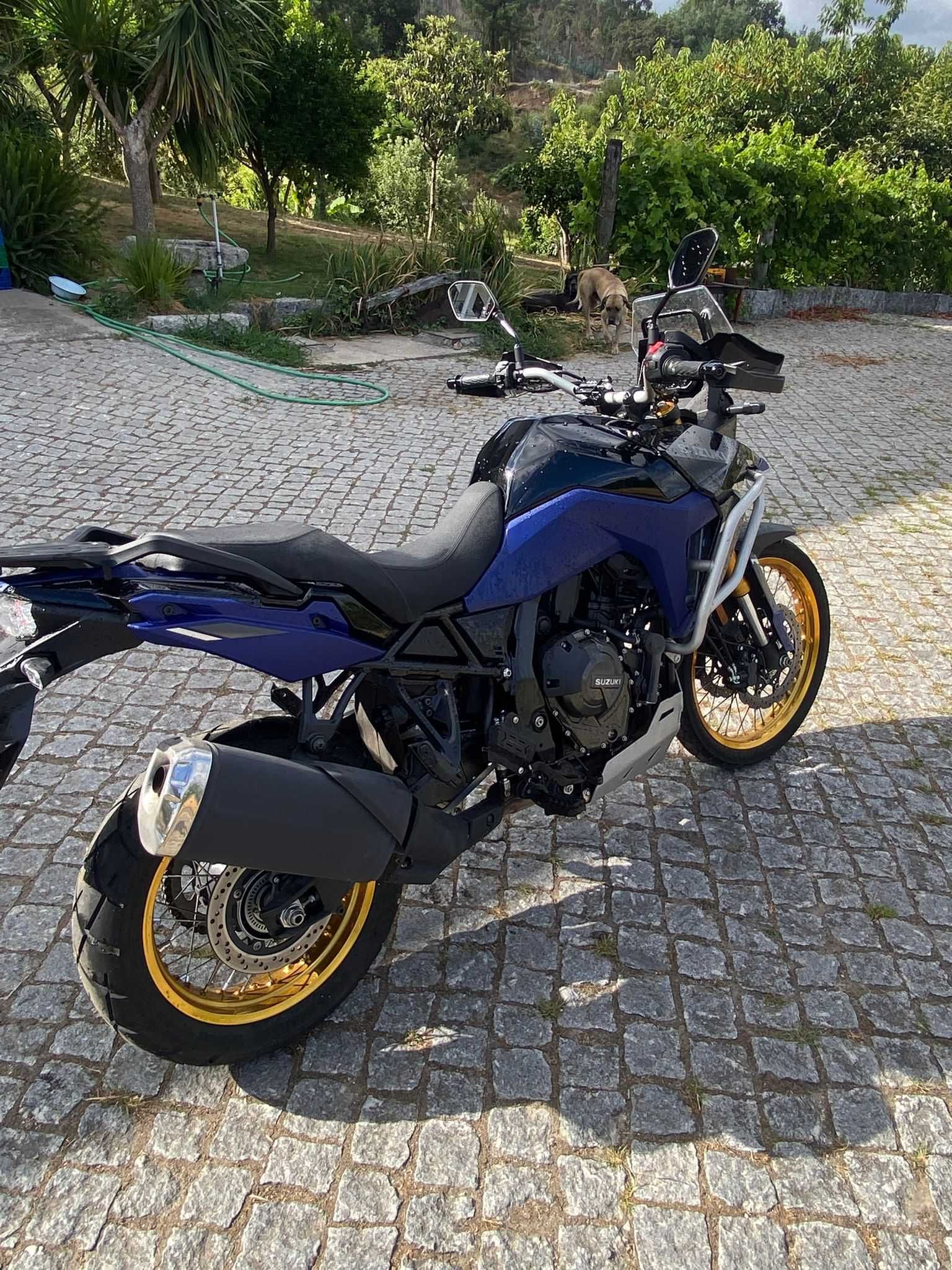 Suzuki V-STROM 800DE