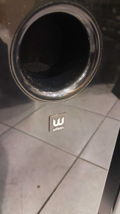 Kolumny głośnikowe, podłogowe  Wilson Raptor 7 , 180 W kosztowały 2300
