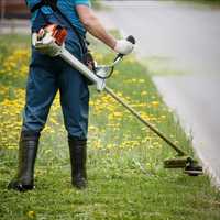 Limpeza de terrenos é jardinagem
