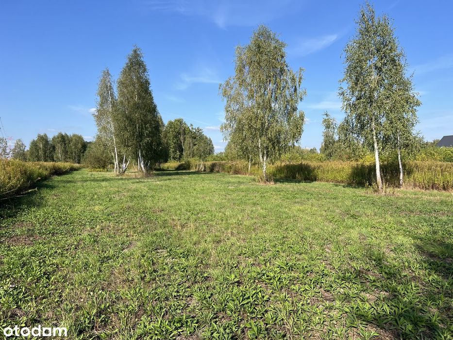 Piękna, duża działka z lasem i łąką na sprzedaż, Malcanów ulica Letnia
