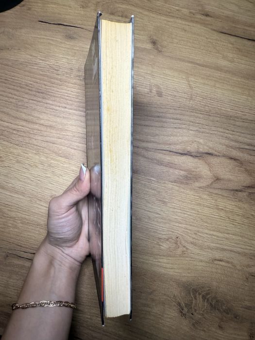 Люко Дашвар «Мати все»