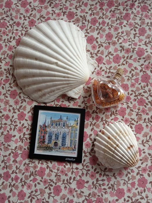 Muszle bursztyn Gdańsk serce wakacje