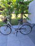 Rower alu star city damka 28”