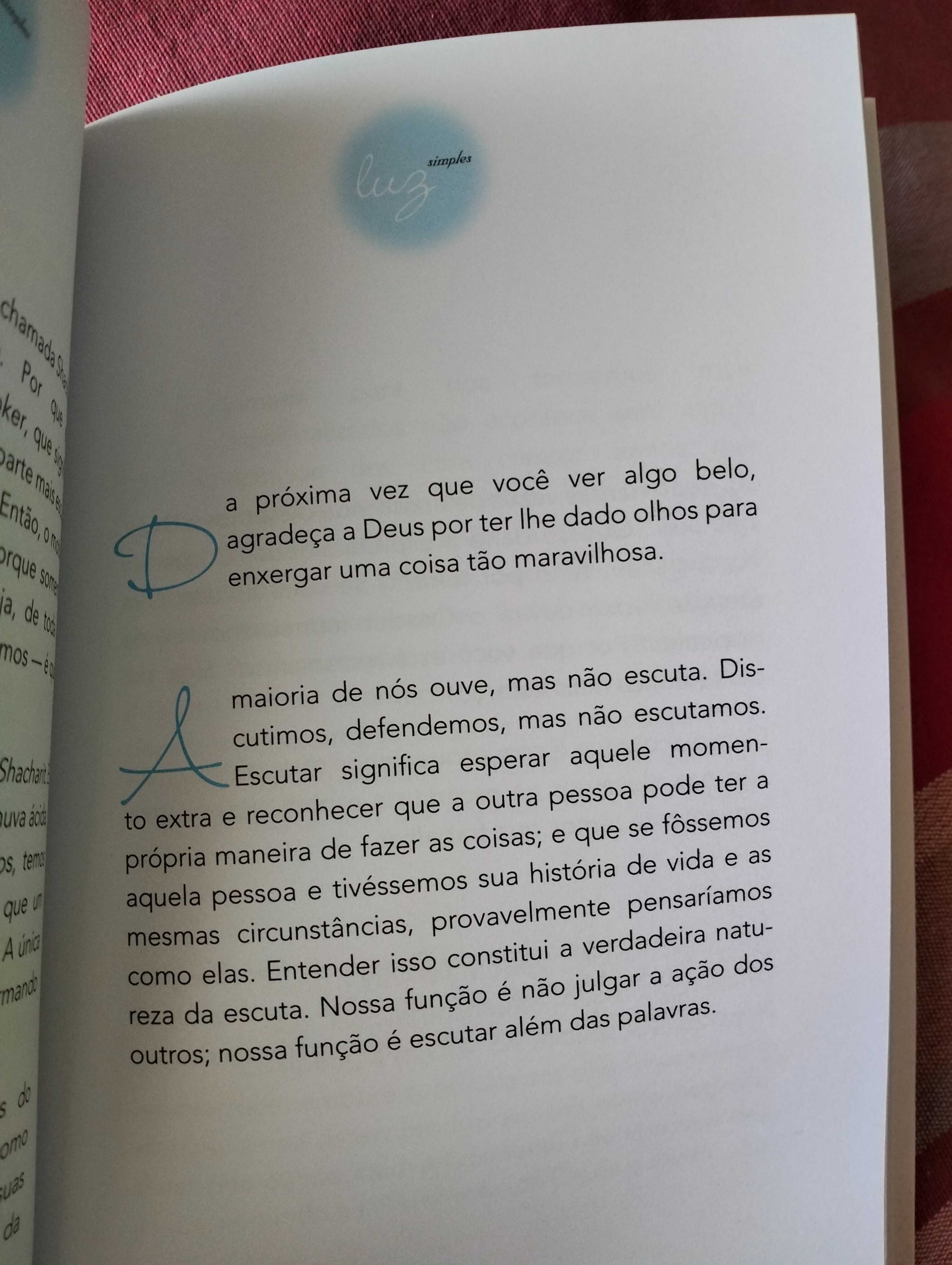 Livro: Luz Simples de Karen Berg