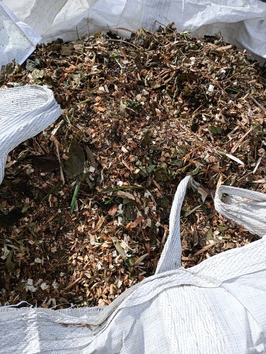 Zrębki drzewne z drzew liściastych z liśćmi