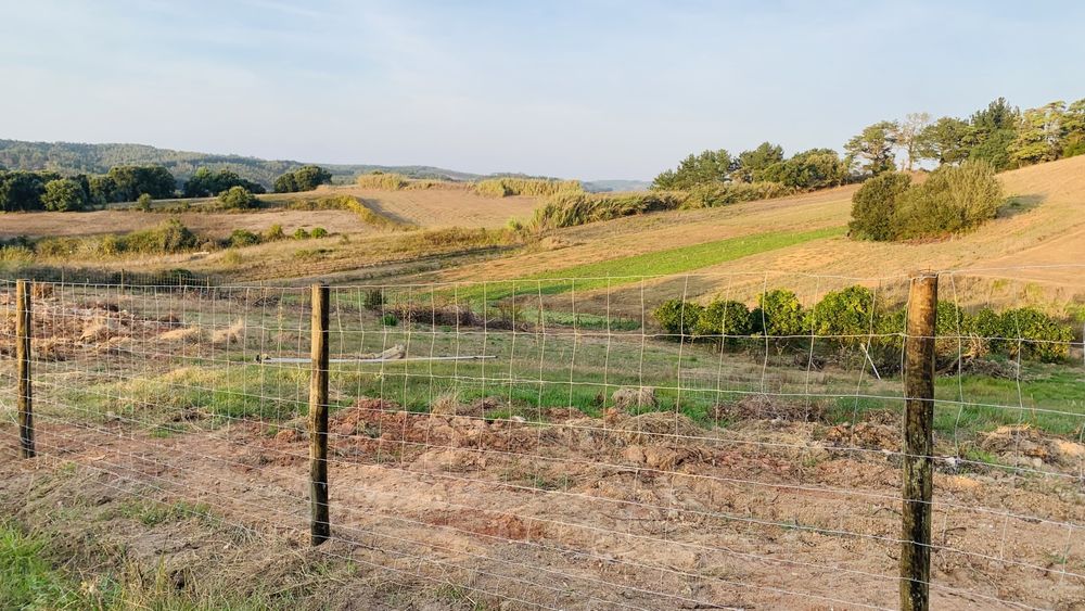 Vedações, Cercas, Fence, Horse Fence