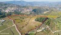 Quinta vinícola - para venda - Douro Valley