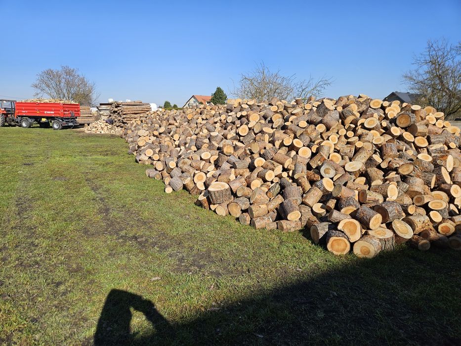 Drewno opalowe liściaste