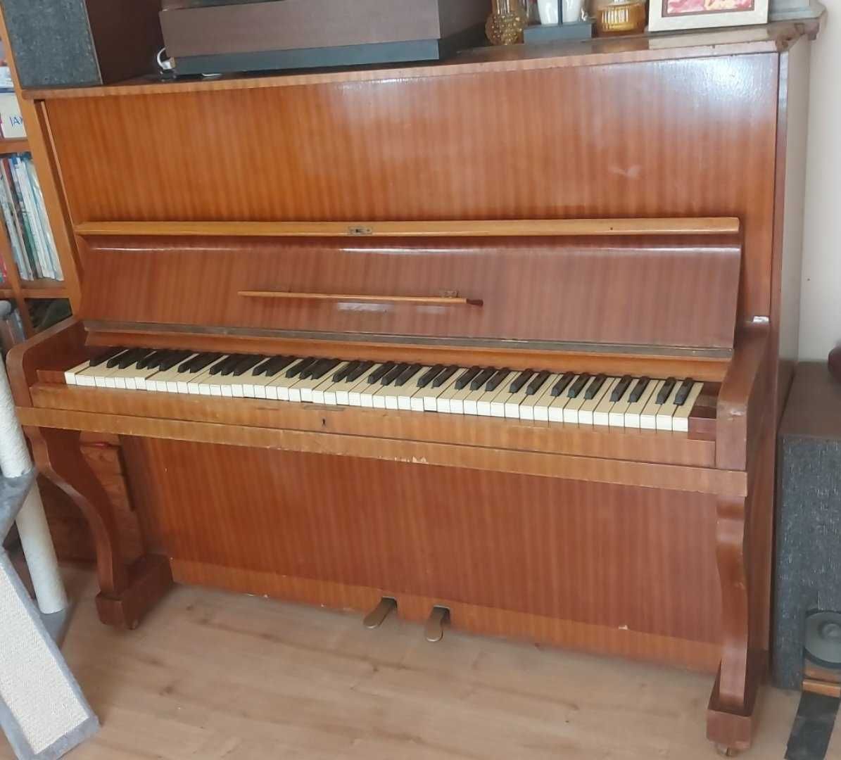 Pianino Legnica 1962