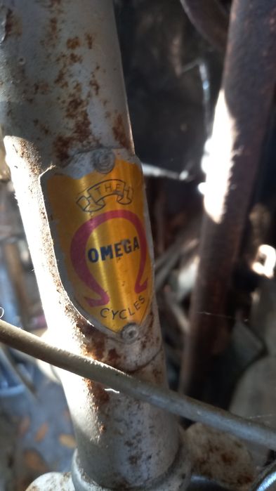 Bicicleta Pasteleira The Omega Cycles Vintage