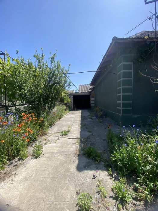 Пролам копитальеый дом