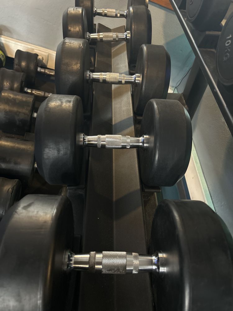 Conjunto de Halteres (2,5kg a 30kg) – Quase Novos