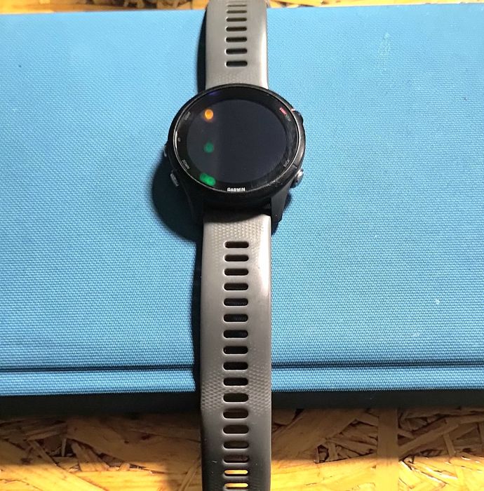 Garmin Forerunner 255