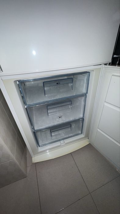 Figorofico AEG otimo estado