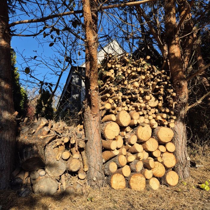 Drewno drzewo na opal do kominka sosna MP plus drobne kawalki