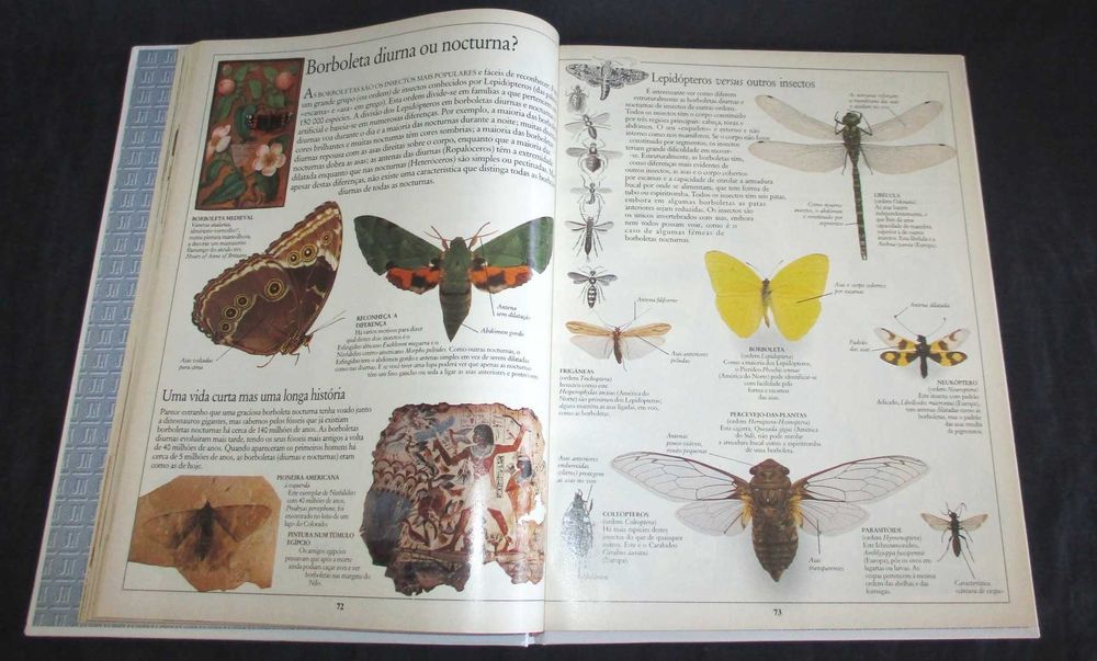 Livro Dinossauros Borboletas Plantas Enciclopédia Visual